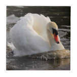 Swan Tile