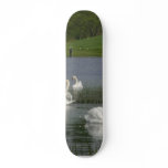 Swans Animal Skate Boards