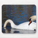 Swans Feeding mousepads