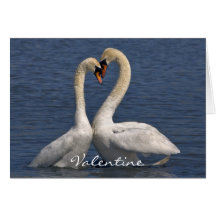 Swans in Love Card - Valentine
