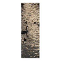Swans in Water Holland Bookmark Gift