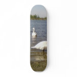 Swans Lake Skateboard