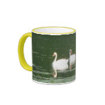 Swans Morning Swim 11oz. Ringer Mug