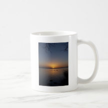 Swans Mugs