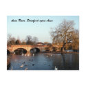 Swans on the Avon River, Stratford-upon-Avon postcards