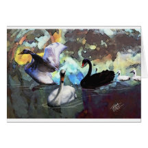 Swans Swimming Greeting Cards