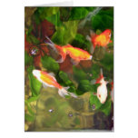Swarm cards