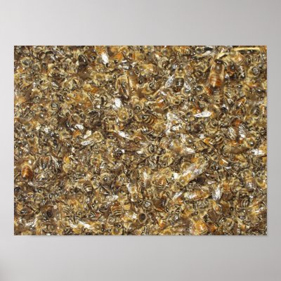 Swarm of honeybees poster by Raftiinstitute