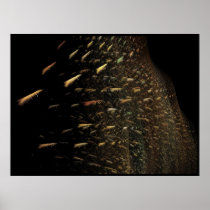 Swarm Posters