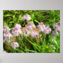 Swaying WildFlowers posters