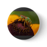 Sweat Bee At The Del Mar Fairgrounds Buttons
