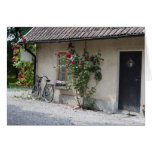 Swedish Country side Cards
