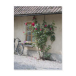 Swedish Country side Postcard
