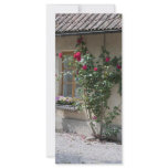Swedish Country side rack cards
