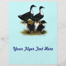 Swedish Duck Family Full Color Flyer