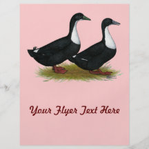 Swedish Ducks Black Custom Flyer
