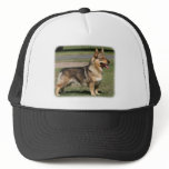 Swedish Vallhund 9Y777D-010 Trucker Hat