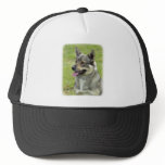 Swedish Vallhund Trucker Hat