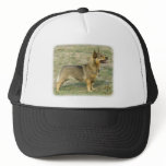 Swedish Vallhund Mesh Hat