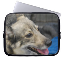 Swedish Vallhund Laptop Sleeve