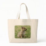 Swedish Vallhund Puppy bags