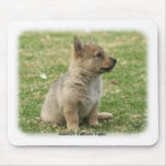 Swedish Vallhund Puppy Mouse Mat