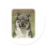 Swedish Vallhund Round Sticker