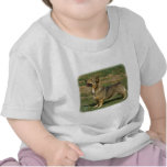 Swedish Vallhund t-shirts