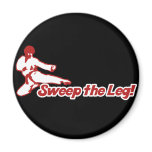 Sweep the Leg 80s Karate Parody magnets