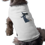 Sweeping Witch pet clothing