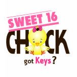 Sweet 16 Chick 1 t-shirts