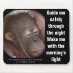 Sweet Animal Baby Prayers mousepads
