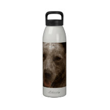 Sweet Australian Cattle Dog Water Bottle