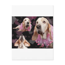 Sweet Basset Valentine Post Cards