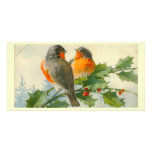Sweet Birds Vintage Postcard Print Photo Card photo cards