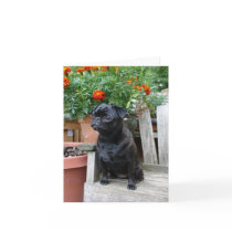 Sweet Black Pug Note Card - blank