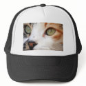 Sweet Cat Face hats