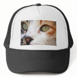 Sweet Cat Face hats