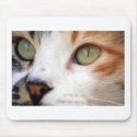 Sweet Cat Face mousepads