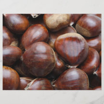 Sweet chestnuts full color flyer