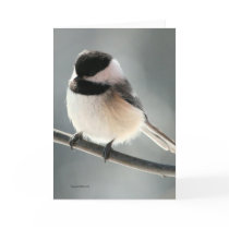 Sweet Chickadee Card
