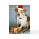 Sweet Christmas pup cards