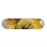 Sweet Conker With Leaves Custom Skateboard
