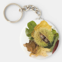 Sweet Conker With Leaves keychains