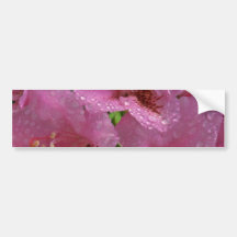 Sweet Crabapple Bumper Stickers