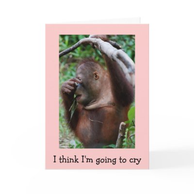 Sweet Crocodile Tears Valentine for any age Greeting Cards by Rebecca_Reeder