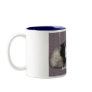 Sweet Dreams Ferrets Mugs