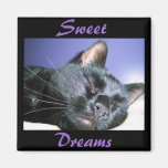 Sweet Dreams Magnet