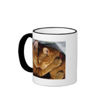 Sweet Dreams Coffee Mug