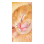 Sweet Dreams photo cards